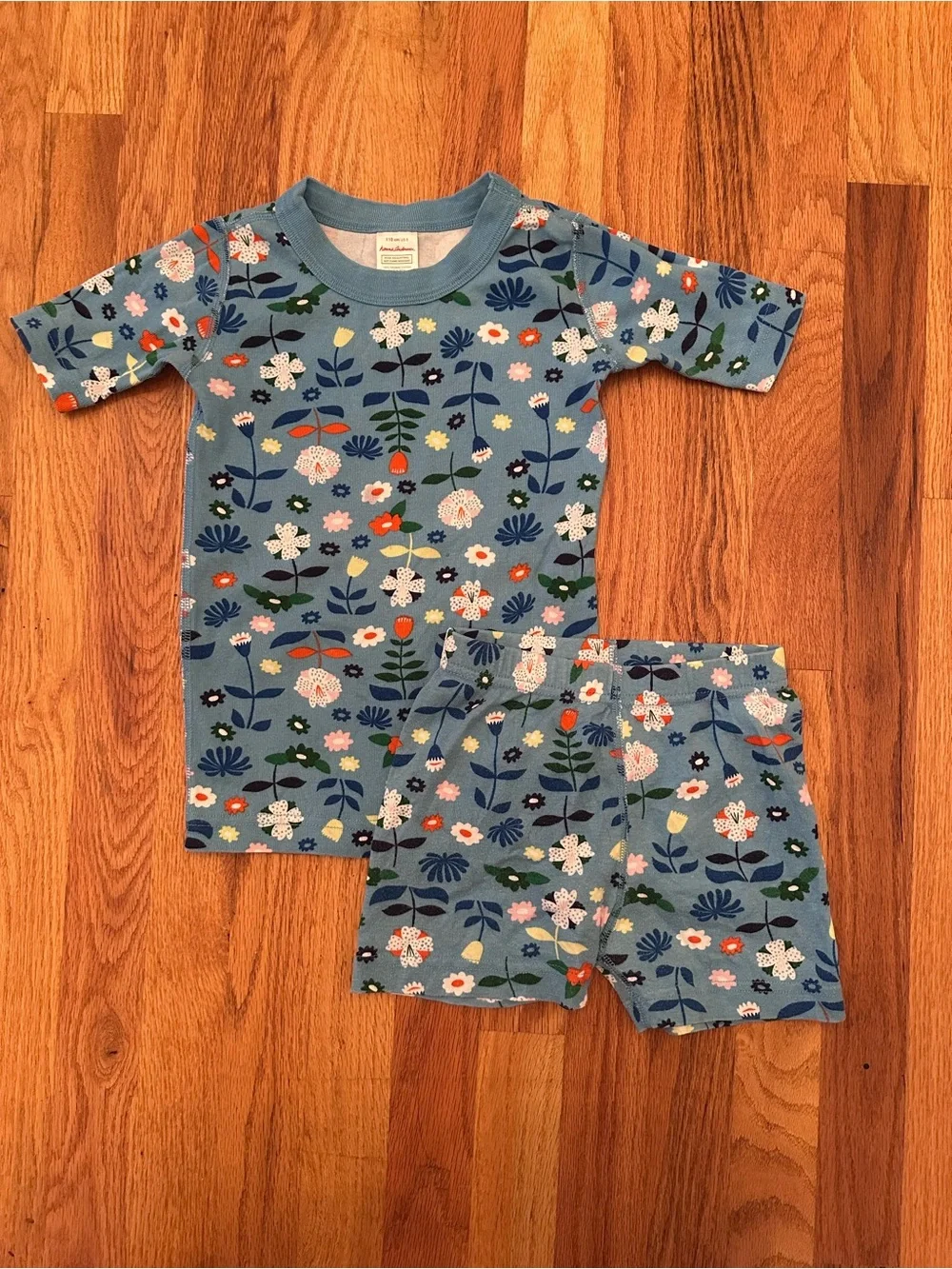 Hanna Andersson Size 110 5 Blue Scandi Floral Short Sleeve Pajama Set Cotton